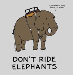 an elephant with a seat on it's back and the words don't ride elephants