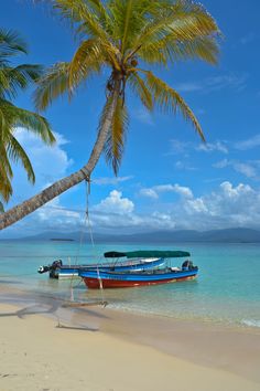 two boats tied up on the beach with palm trees