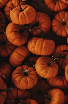 many small pumpkins are piled up together