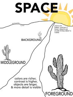 a diagram showing the different types of plants and animals in space, including cactuses