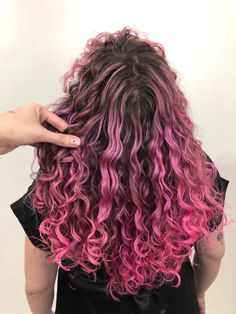 2c Colored Hair, Pink Ombre Curly Hair, Curly Draculaura Hair, Draculara Hair Curly Hair, Curly Purple Highlights, Pink Highlights In Brown Hair Curls, Pink And Black Curly Hair, Draculaura Hair Curly, Curly Hair Pink Highlights