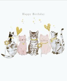 a birthday card with cats and hearts on the front, one cat is wearing a gold collar