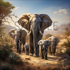 a herd of elephants walking across a dirt field