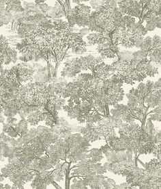 Sample Spinney Green Toile Wallpaper Wallpaper Turkey, Brown Toile, Wallpaper Boulevard, Stripped Wallpaper, Turkey Dogs, Black Toile, Brewster Wallpaper, Wallpaper Warehouse, Toile Wallpaper