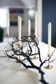 there are many candles that have been placed on the table with no leaves or branches