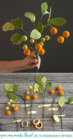 an arrangement of oranges and green leaves on a wooden table