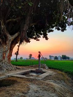 the sun is setting over an open field with a well in the foreground and trees to the side