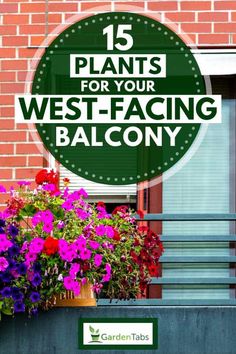 a sign that says 15 plants for your west - facing balcony with flowers in the window