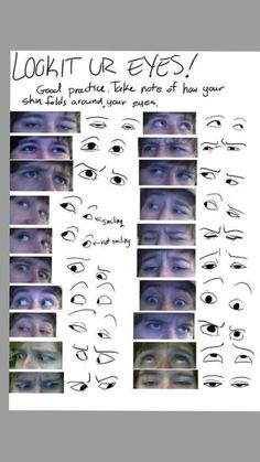 many different types of eyes are shown