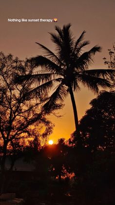 the sun is setting behind two palm trees