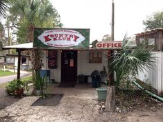 a small business with palm trees and potted plants in the front yard, on a dirt lot