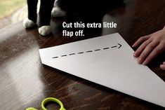 a person cutting out a paper airplane on a table with scissors next to it that says cut this extra little flap off