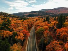 an aerial view of a road surrounded by trees in the fall with orange, yellow and green foliage