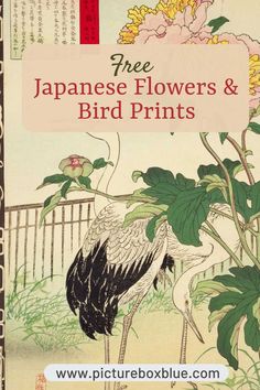 crane and peonies Flower Bird, Japanese Flowers, Bird Prints, Flowers