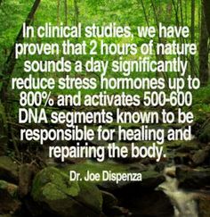 Natural Healing Quotes, Joe Dispenza Quotes, Quotes On Healing, Garden Sayings, Dr Joe Dispenza, Nature Peace, Quotes Nature, Joe Dispenza, Health Info