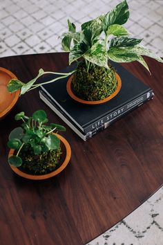 two plants are sitting in small pots on a table with a book next to them