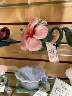 there are many vases with flowers on display