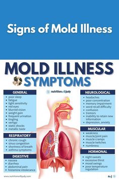 We’ve been told that mold is not really a problem unless it’s visible black mold. Or that mildew is the safe kind of mold. ⚠️What I’m finding is that the mold story is similar to how red meat has become demonized. (It’s a lie)… Any water damage that creates biotoxins is hazardous to health. | mold illness | mold illness symptoms | signs of mold illness | mold illness treatment | cirs mold illness | mold illness diet | diet for mold illness | cirs mold illn Mold Illness, Mold Exposure, Black Mold, Muscle Twitching, Chronic Cough, Frequent Urination, Sinus Congestion, Asthma Symptoms, Light Sensitivity