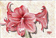 a drawing of a red flower with two birds sitting on it's back end