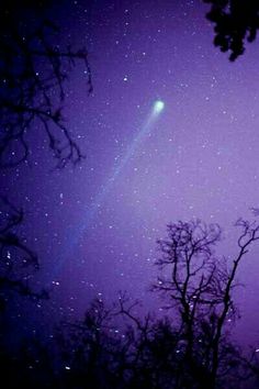 the night sky is filled with stars and bright purple hues as well as trees