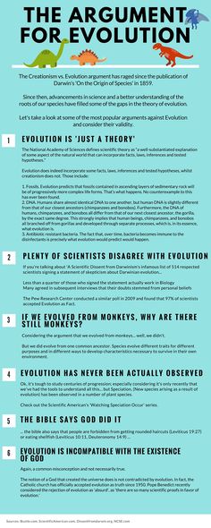 an info sheet describing the different types of dinosaurs