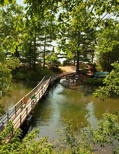 a wooden bridge over a river surrounded by trees