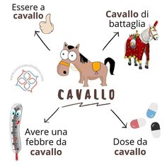 the diagram shows how to describe cavallo and what it is labeled in spanish