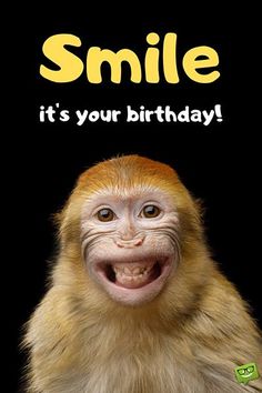 a monkey with its mouth open and the caption smile it's your birthday