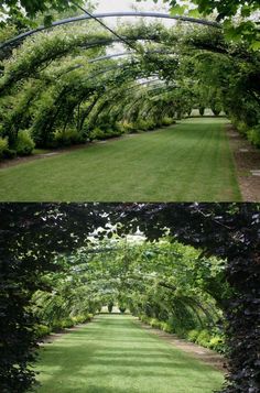 two different views of an outdoor garden with green grass and trees in the background, one is