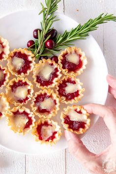 small pastries with cranberry sauce and rosemary sprigs on a white plate