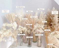 there are many different types of flowers in vases on the shelf with labels above them