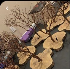 several pieces of wood sitting on top of a table next to each other with trees growing out of them