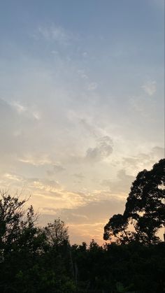 an airplane flying in the sky with trees and bushes around it at sunset or dawn