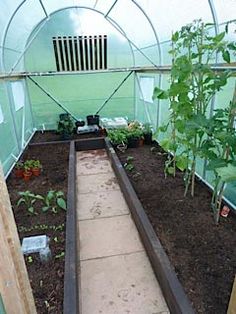 the inside of a greenhouse with plants growing in it and dirt on the ground below