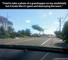 an insect is flying over the windshield of a car