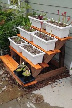 several white plastic containers filled with plants sitting on top of a wooden stand in front of a house