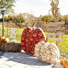 pumpkins and gourds are arranged on the ground in front of an autumn display