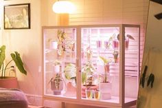 a display case filled with plants and potted plants