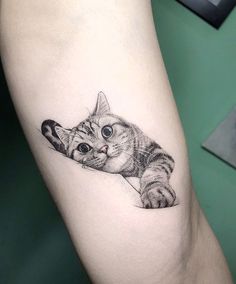 a small cat tattoo on the right arm and leg, with an image of a kitten peeking out of it's paw