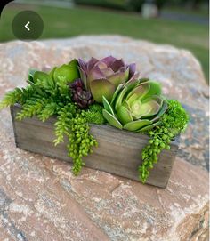 an arrangement of succulents in a wooden box on top of a rock