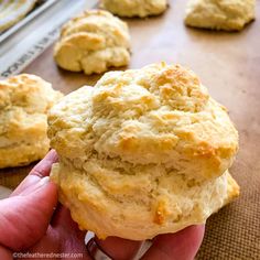 a hand holding a biscuit in front of other biscuits