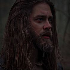 a man with long hair and beard standing in front of a forest filled with trees