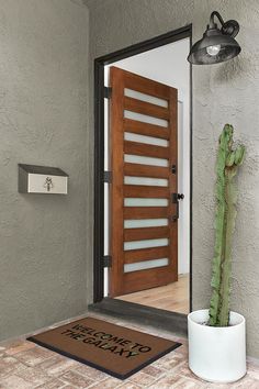 a cactus in a white pot sitting next to a wooden door with a welcome mat on the floor