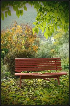 a wooden bench sitting in the middle of a field with lots of leaves on it