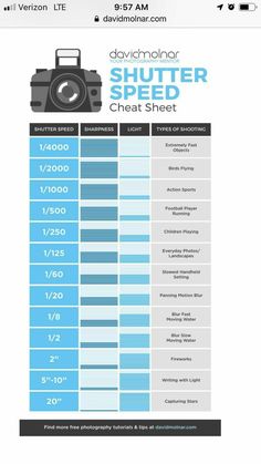 the info sheet shows how many different types of vehicles can be seen in this image