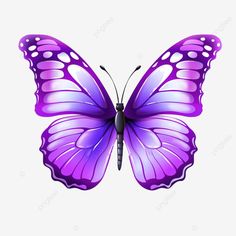 purple butterfly cute purple butterfly violet png Butterfly Cute, Indian Eyes, Butterfly Cake Topper, Disney Cuties, Birthday Cake Topper Printable, Wallpaper Earth