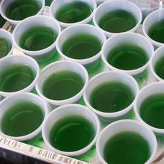 cups filled with green liquid sitting on top of a tray