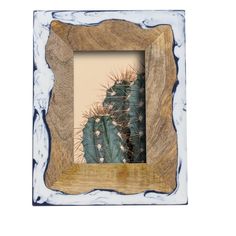 a wooden frame with a cactus in it