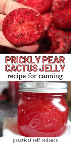 a person holding up a piece of fruit with the words prickly pear cactus jelly recipe for canning