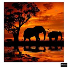 two elephants are standing in front of a tree as the sun goes down over water